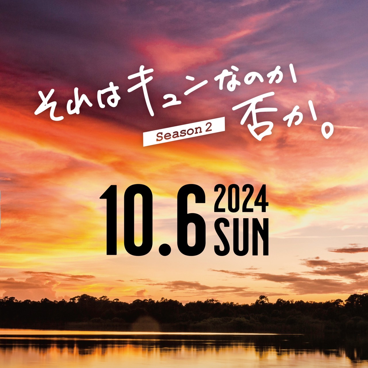 10月6日加古川「それはキュンなのか否か。婚活パーティ」参加者の相談役を担当させて頂くことになりました☆